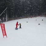 phoca_thumb_m_lye zvody 20 Fotogalerie